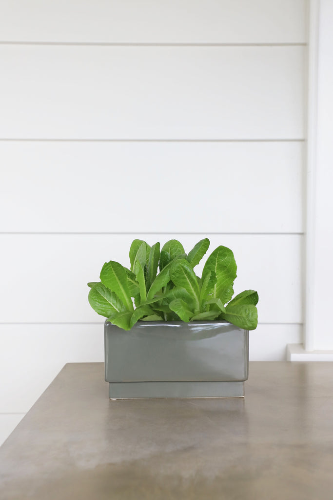 Indent Rectangle Pot