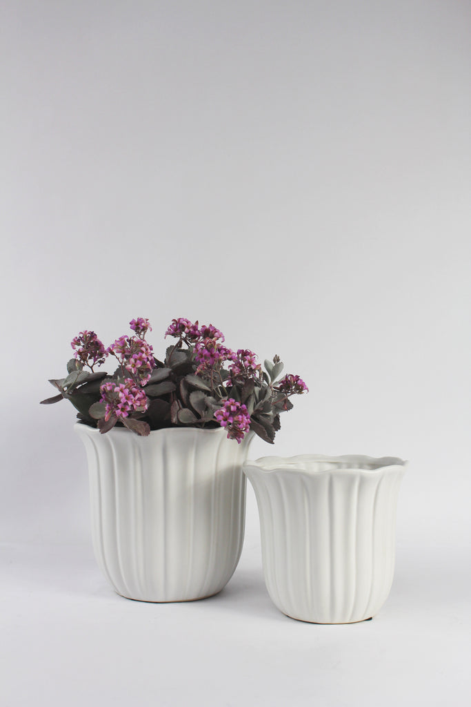 Ceramic Petal Planter