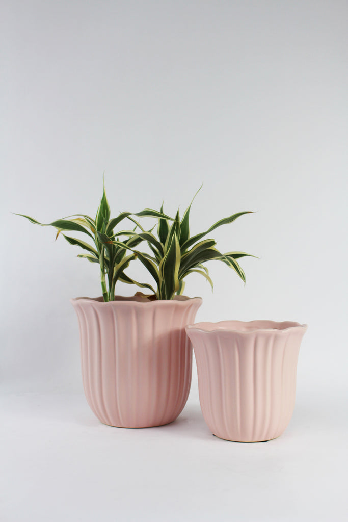Ceramic Petal Planter