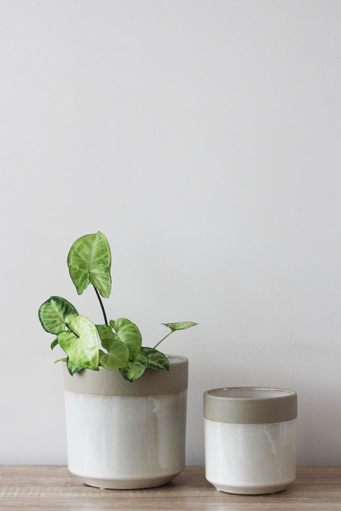 Glazed Speckled Standard Planter