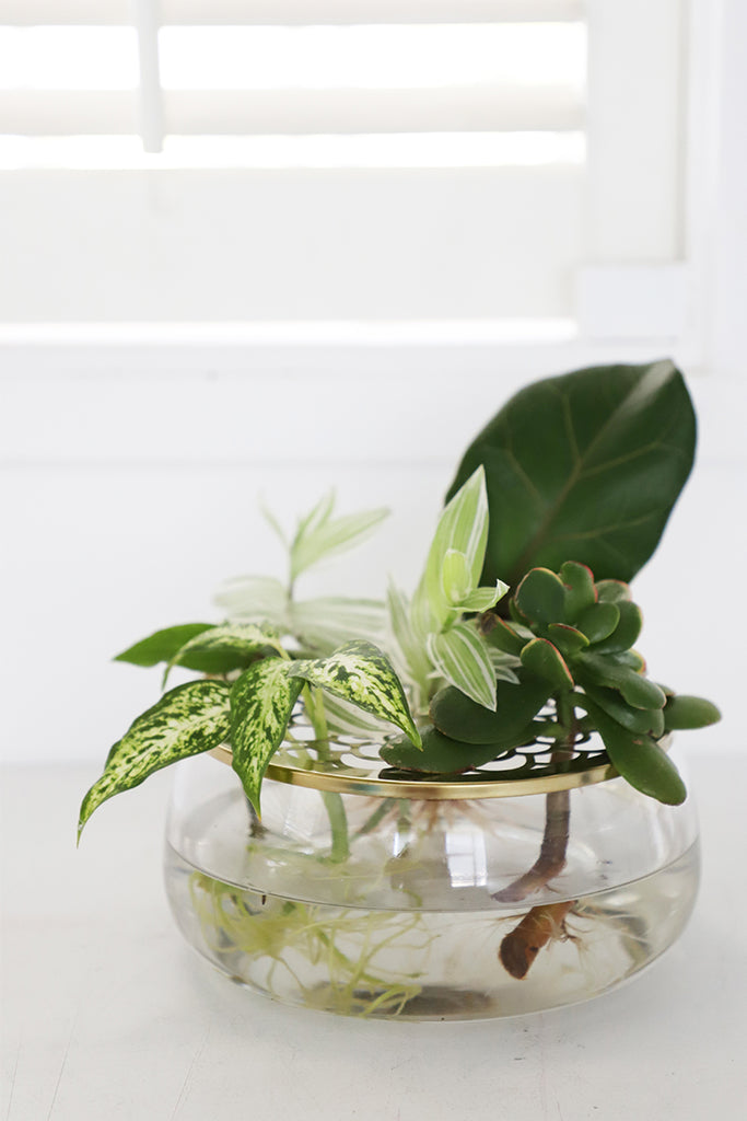Glass Styling Vase with Lid