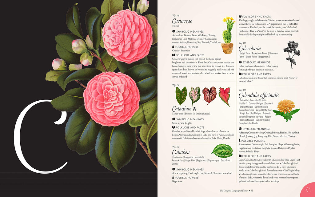 The Complete Language of Flowers