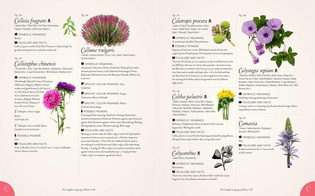 The Complete Language of Flowers