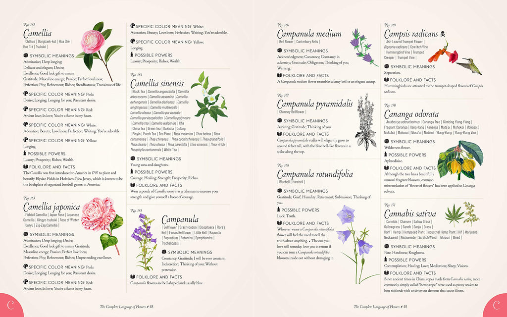 The Complete Language of Flowers