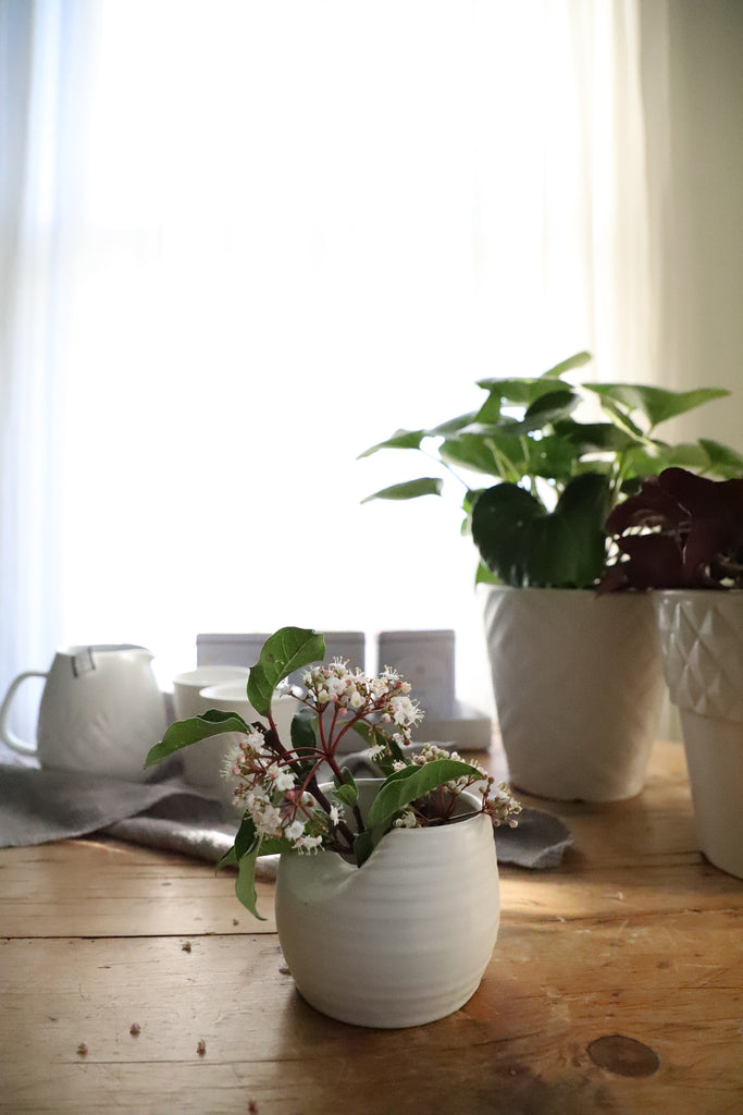 Ceramic Folded Top Rounded Vase