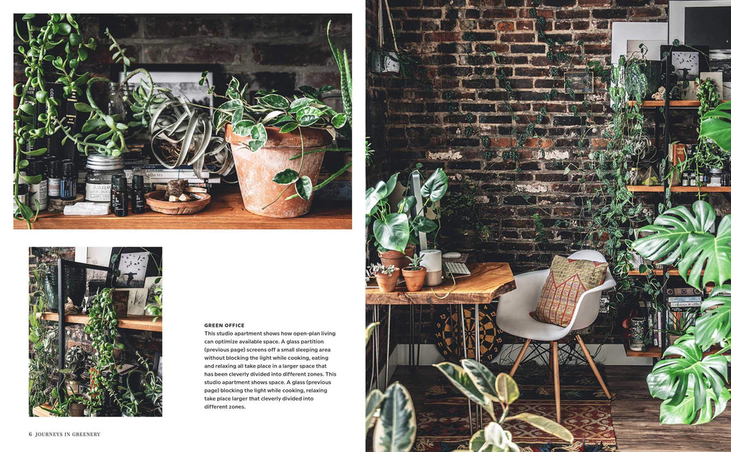 Wild Interiors: Beautiful Plants in Beautiful Spaces